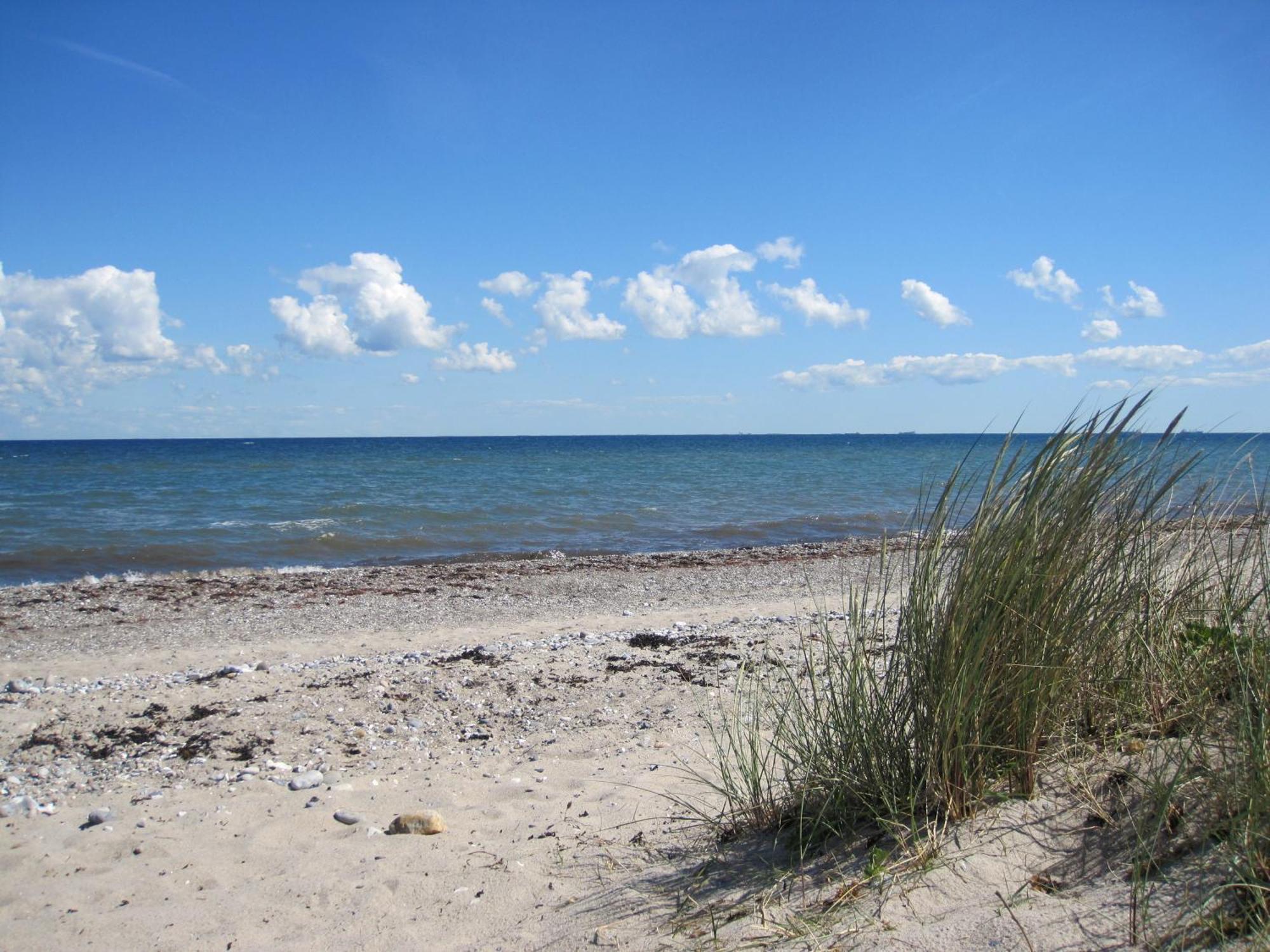 Fewo Im Kastania Nr19 Petersdorf auf Fehmarn المظهر الخارجي الصورة